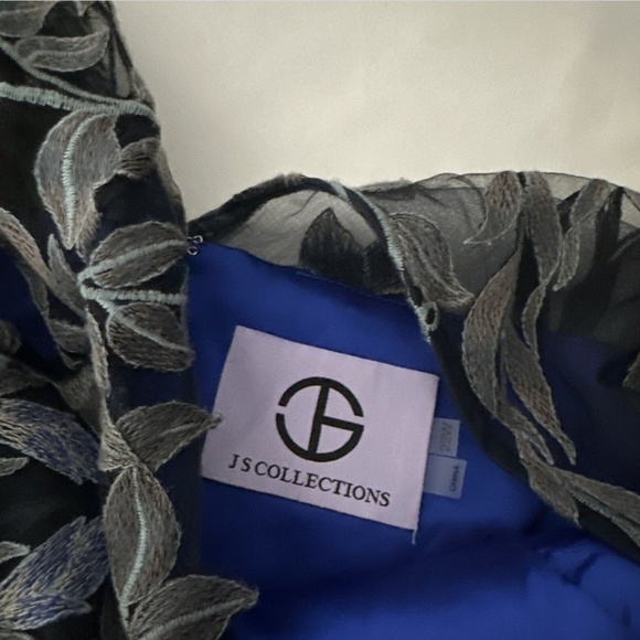 NEW $298 JS COLLECTIONS [ 22W ] Embroidered Illusion Bodice‎ Pleated Gown - Picture 4 of 13